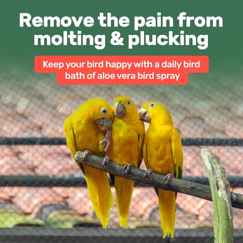 Samorillo Aloe Vera Bird Spray - 8.5oz/251mL - [Made in USA] - Non-Toxic Bird Bath Relieves Dry/Itchy Skin & Softens Feathers - Safe & Effective for All Birds - Promote Healthy Plumage - Odor-Free - Image 5